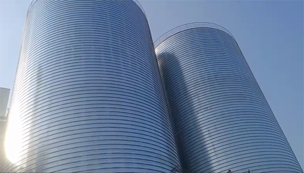 孙吴2座混凝土高架卷板仓